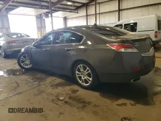 2009 Acura TL Tech with VIN 19UUA86549A018283, listed as a Copart auction lot 51913805 with 205,287 mi miles and Salvage Title. Bid and sale history available at carsss.com. Image 2.