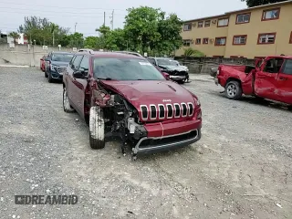 2016 Jeep Cherokee Limited with VIN 1C4PJLDB3GW135716, listed as a Copart auction lot 59718615 with 87,231 mi miles and Salvage title. Bid and sale history available at DreamBid. Image 13.