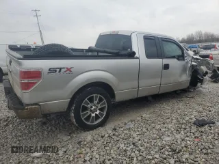 2014 Ford F-150 XL with VIN 1FTEX1EM8EFC11812, listed as a Copart auction lot 46977385 with 188,175 mi miles and Clean Title. Bid and sale history available at carsss.com. Image 3.