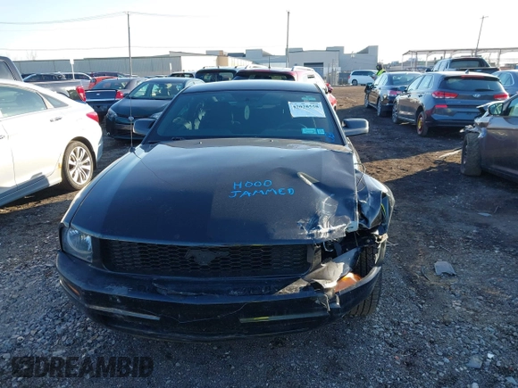 2009 Ford Mustang with VIN 1ZVHT80NX95113701, listed as a IAAI auction lot 42028558 with 100,224 mi miles and . Bid and sale history available at carsss.com. Image 10.