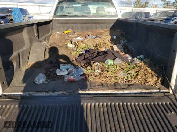 2006 Ford F-150 XL with VIN 1FTRF14WX6KD65700, listed as a Copart auction lot 76083984 with 254,693 mi miles and Salvage Title. Bid and sale history available at carsss.com. Image 10.