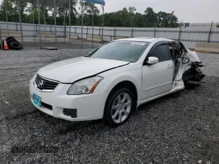 2007 Nissan Maxima SL with VIN 1N4BA41E47C820913, listed as a Copart auction lot 59389565 with Not provided miles and Salvage title. Bid and sale history available at DreamBid. Image 1.