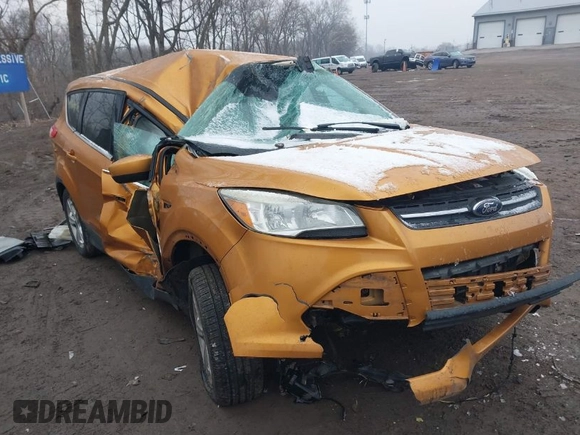 2016 Ford Escape SE with VIN 1FMCU9G95GUB74347, listed as a IAAI auction lot 41560409 with 123,464 mi miles. Bid and sale history available at carsss.com. Image 1.