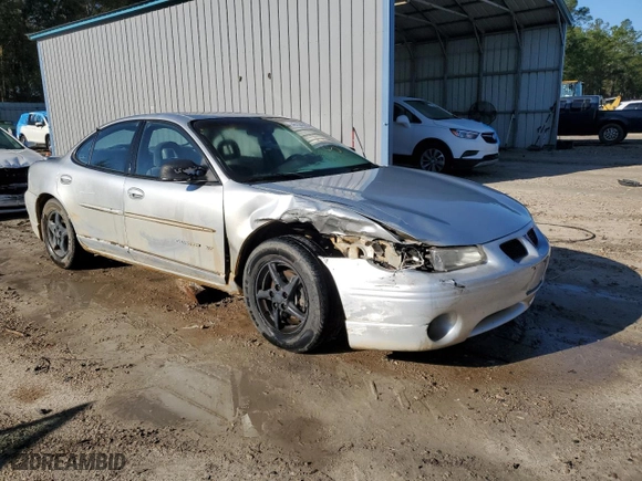 2002 Pontiac Grand Prix GT with VIN 1G2WP52KX2F211230, listed as a Copart auction lot 48194805 with 316213 miles and Salvage Title. Bid and sale history available at carsss.com. Image 4.