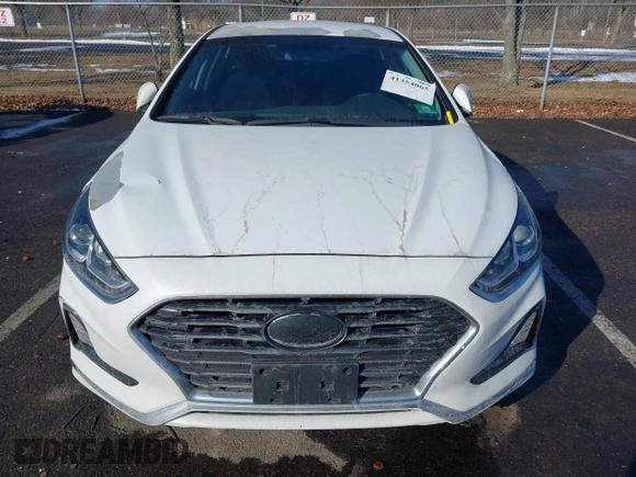 2018 Hyundai Sonata SE z VIN 5NPE24AF2JH684385, wystawiony jako IAAI lot #41354065 z przebiegiem 73 680 mil mil oraz . Historia ofert i sprzedaży dostępna na DreamBid. Obrazek 12.