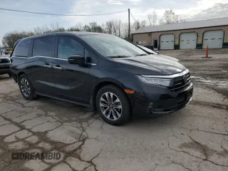 2022 Honda Odyssey EX-L with VIN 5FNRL6H70NB031177, listed as a Copart auction lot 51262515 with 53,629 mi miles and Salvage Title. Bid and sale history available at DreamBid. Image 4.