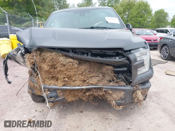 2016 Ford F-150 XLT with VIN 1FTFW1EF4GFB47473, listed as a IAAI auction lot 42296307 with 213,313 mi miles and . Bid and sale history available at DreamBid. Image 11.