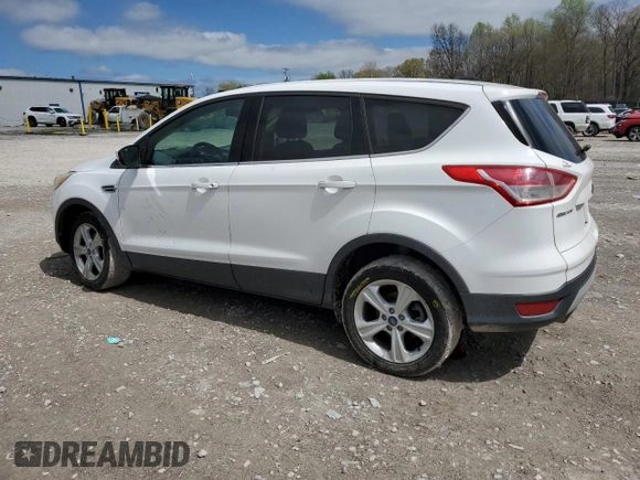 2013 Ford Escape SE with VIN 1FMCU0GX1DUC04370, listed as a Copart auction lot 51105015 with 146,214 mi miles and Salvage Title. Bid and sale history available at carsss.com. Image 2.