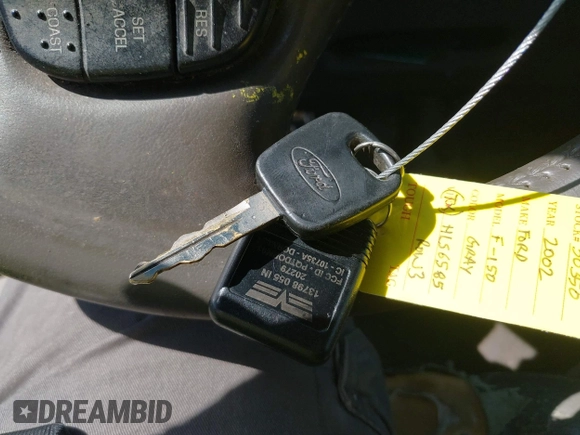 2002 Ford F-150 XL с VIN 1FTRX17W22NB51110, выставлен на аукционе IAAI как лот 42065464 с пробегом 346 583 миль миль и . История ставок и продаж доступна на DreamBid. Изображение 11.