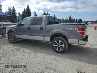 2009 Ford F-150 XL с VIN 1FTPW14V69FA77815, выставлен на аукционе Copart как лот 65020375 с пробегом 273 313 миль миль и Чистый • Clean title. История ставок и продаж доступна на DreamBid. Изображение 2.