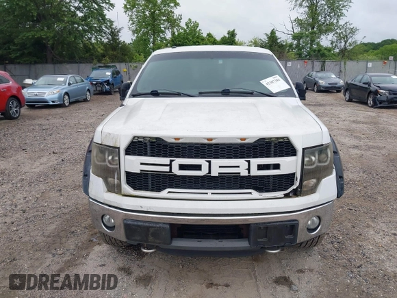 2011 Ford F-150 XLT with VIN 1FTFW1ET1BKD79504, listed as a IAAI auction lot 42307381 with 167,695 mi miles and . Bid and sale history available at DreamBid. Image 12.