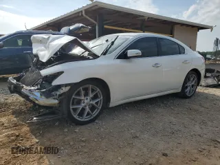 2009 Nissan Maxima SV z VIN 1N4AA51EX9C830995, wystawiony jako Copart lot #55280635 z przebiegiem Nie podano mil oraz Szkoda całkowita • Salvage title. Historia ofert i sprzedaży dostępna na DreamBid. Obrazek 1.
