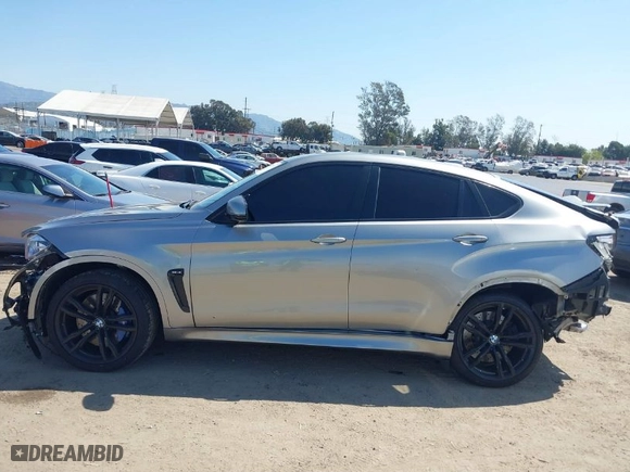 2019 BMW X6 M with VIN 5YMKW8C5XK0Y74895, listed as a IAAI auction lot 41847396 with NaN miles. Bid and sale history available at carsss.com. Image 15.