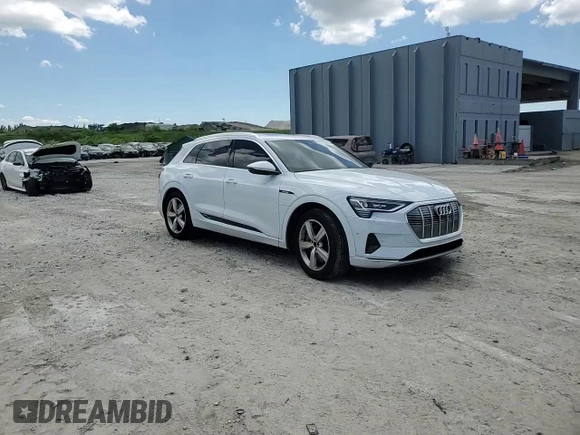 2019 Audi e-tron Prestige with VIN WA1VAAGE0KB013133, listed as a Copart auction lot 57060255 with 50,222 mi miles and Salvage title. Bid and sale history available at DreamBid. Image 13.