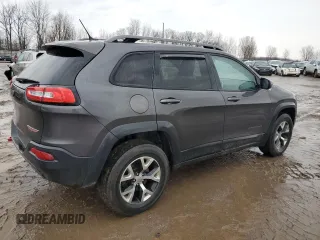 2014 Jeep Cherokee Trailhawk with VIN 1C4PJMBB6EW310613, listed as a Copart auction lot 46438185 with 122,113 mi miles and Salvage Title. Bid and sale history available at carsss.com. Image 3.