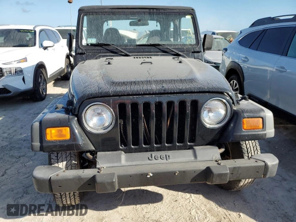 2002 Jeep Wrangler X with VIN 1J4FA39S62P775517, listed as a Copart auction lot 75336364 with Not Provided miles and Salvage Title. Bid and sale history available at carsss.com. Image 5.