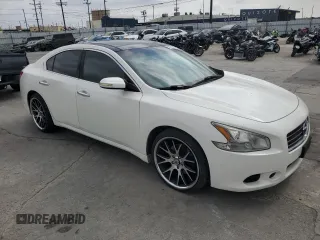 2009 Nissan Maxima SV with VIN 1N4AA51E69C809139, listed as a Copart auction lot 53791545 with 141,482 mi miles and Salvage Title. Bid and sale history available at DreamBid. Image 4.