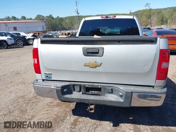 2010 Chevrolet Silverado 1500 LT with VIN 1GCSKSE39AZ179024, listed as a IAAI auction lot 41735447 with 307,082 mi miles. Bid and sale history available at carsss.com. Image 16.