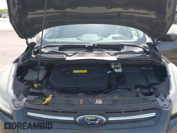 2016 Ford Escape SE with VIN 1FMCU0GXXGUB66870, listed as a IAAI auction lot 42219454 with 116,158 mi miles and . Bid and sale history available at carsss.com. Image 10.