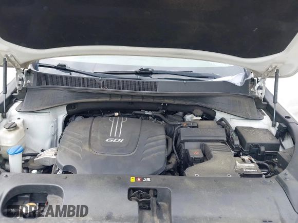 2017 Kia Sorento EX with VIN 5XYPH4A55HG253166, listed as a IAAI auction lot 42220030 with 129,524 mi miles and . Bid and sale history available at DreamBid. Image 10.
