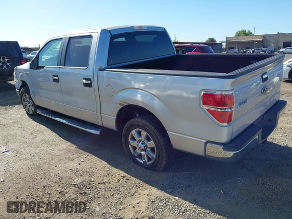 2013 Ford F-150 XL with VIN 1FTEW1CMXDKD82461, listed as a IAAI auction lot 42325049 with 145,298 mi miles and . Bid and sale history available at DreamBid. Image 3.