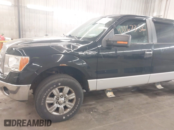 2009 Ford F-150 XL with VIN 1FTPW14V09FB25759, listed as a IAAI auction lot 42167356 with 189,151 mi miles and . Bid and sale history available at DreamBid. Image 18.
