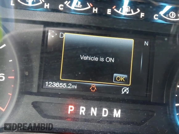 2018 Ford F-150 XL with VIN 1FTEW1CP9JKC79991, listed as a IAAI auction lot 41737265 with 123,655 mi miles and . Bid and sale history available at DreamBid. Image 15.
