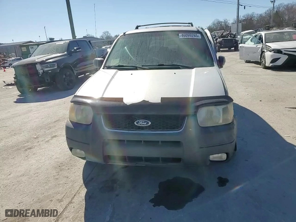 2002 Ford Escape XLT Choice with VIN 1FMYU03102KA36317, listed as a Copart auction lot 46099265 with 285,799 mi miles and Salvage Title. Bid and sale history available at carsss.com. Image 11.