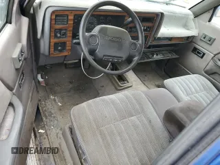 1995 Dodge Dakota z VIN 1B7GG23Y4SS124349, wystawiony jako Copart lot #55723114 z przebiegiem 136 156 mil mil oraz Tytuł czysty. Historia ofert i sprzedaży dostępna na DreamBid. Obrazek 8.