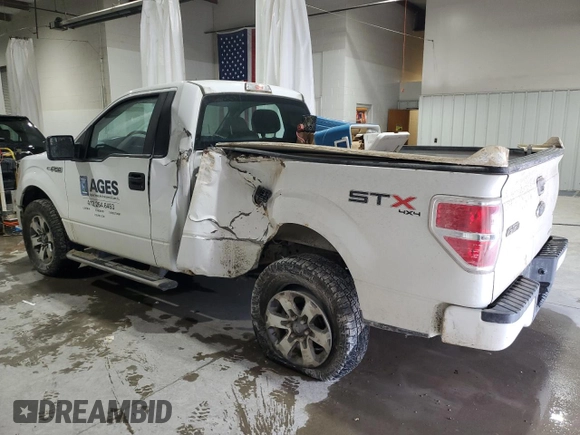 2013 Ford F-150 XL with VIN 1FTMF1EM8DFD09686, listed as a Copart auction lot 87580895 with 352,762 mi miles and Salvage Title. Bid and sale history available at DreamBid. Image 2.