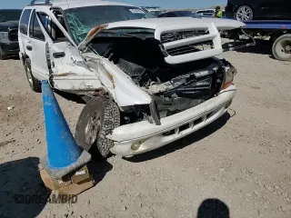 2001 Dodge Durango with VIN 1B4HS28Z01F604316, listed as a Copart auction lot 50384445 with Not provided miles and Salvage title. Bid and sale history available at DreamBid. Image 11.