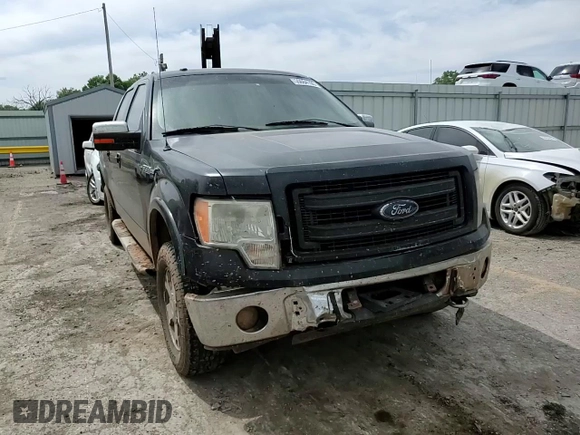 2009 Ford F-150 XL with VIN 1FTPW14V69FB18458, listed as a Copart auction lot 55684195 with 338,034 mi miles and Salvage title. Bid and sale history available at DreamBid. Image 13.