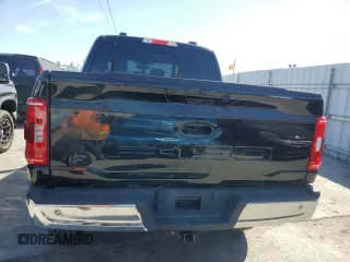 2021 Ford F-150 XL with VIN 1FTFW1E54MFD11453, listed as a Copart auction lot 50240015 with 8,645 mi miles and Salvage title. Bid and sale history available at DreamBid. Image 6.