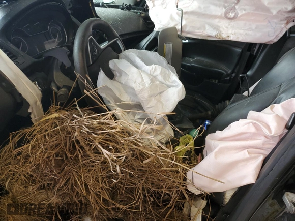 2016 Buick Regal Premium II with VIN 2G4GS5GX3G9114983, listed as a Copart auction lot 49243265 with Not Provided miles and Salvage Title. Bid and sale history available at DreamBid. Image 7.