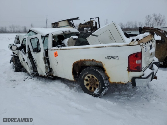 2011 Chevrolet Silverado 1500 Work Truck with VIN 1GCRKPE0XBZ390896, listed as a Copart auction lot 45578465 with 0 mi miles and Salvage Title. Bid and sale history available at carsss.com. Image 2.