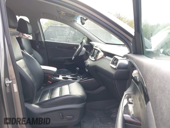 2017 Kia Sorento EX with VIN 5XYPHDA52HG323254, listed as a IAAI auction lot 42029230 with 272,952 mi miles and . Bid and sale history available at DreamBid. Image 5.