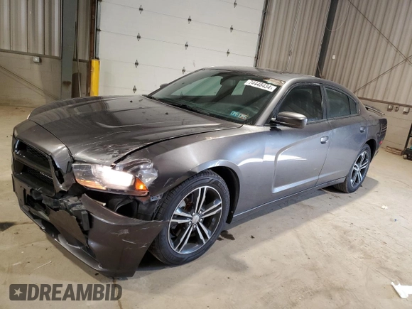 2014 Dodge Charger SXT Plus with VIN 2C3CDXJG3EH372512, listed as a Copart auction lot 74448434 with 99,046 mi miles and Salvage Title. Bid and sale history available at carsss.com. Image 1.