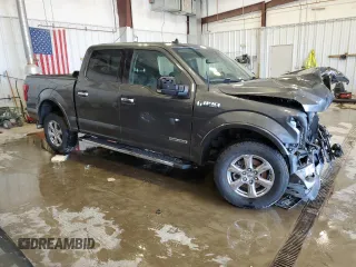 2019 Ford F-150 XL with VIN 1FTFW1E11KFB60386, listed as a Copart auction lot 50365815 with 94,502 mi miles and Non Repairable. Bid and sale history available at carsss.com. Image 4.