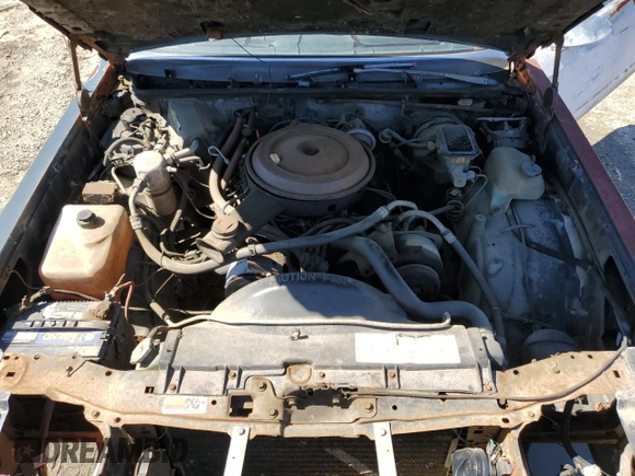 1986 Chevrolet Monte Carlo Sport SS с VIN 1G1GZ37H5GR136544, выставлен на аукционе Copart как лот 49601725 с пробегом 50 230 миль миль и Чистый • Clean title. История ставок и продаж доступна на DreamBid. Изображение 11.