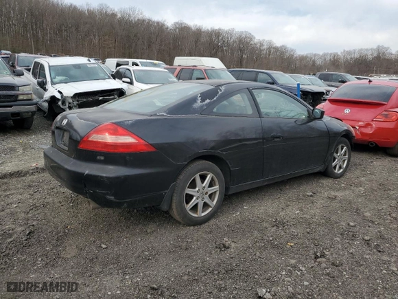 2003 Honda Accord Cpe EX with VIN 1HGCM82683A032759, listed as a Copart auction lot 50019325 with 0 mi miles and Salvage Title. Bid and sale history available at carsss.com. Image 3.