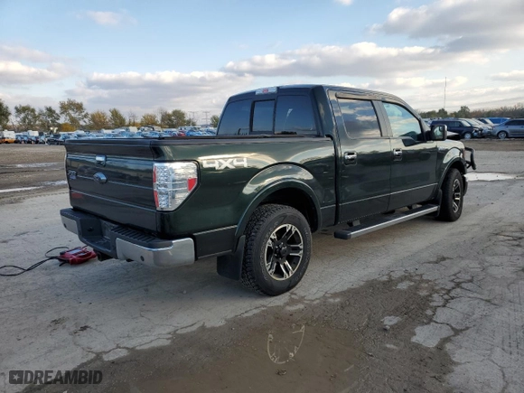 2013 Ford F-150 XLT with VIN 1FTFW1E66DFD96496, listed as a Copart auction lot 73612493 with 0 mi miles and Non Repairable. Bid and sale history available at carsss.com. Image 3.