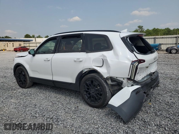2022 Kia Telluride EX with VIN 5XYP3DHC3NG291087, listed as a Copart auction lot 59271455 with 75,318 mi miles and Salvage title. Bid and sale history available at DreamBid. Image 2.