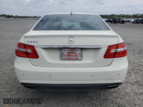 2010 Mercedes-Benz E 550 Luxury with VIN WDDHF7CB3AA134560, listed as a Copart auction lot 48516615 with 165,533 mi miles and Salvage Title. Bid and sale history available at DreamBid. Image 6.