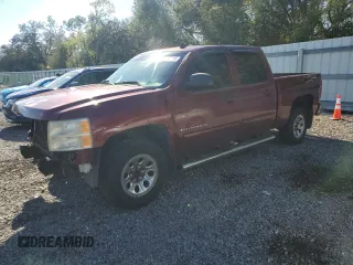2009 Chevrolet Silverado 1500 LS with VIN 3GCEC13C59G190864, listed as a Copart auction lot 46182215 with 227,626 mi miles and Salvage Title. Bid and sale history available at DreamBid. Image 1.