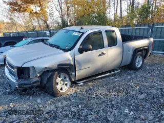 2009 Chevrolet Silverado 1500 Work Truck with VIN 1GCEK19C09Z117850, listed as a Copart auction lot 76186004 with Not Provided miles and Salvage Title. Bid and sale history available at DreamBid. Image 1.