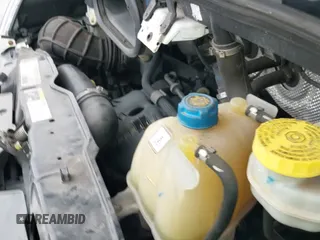 2017 Ram ProMaster Cargo with VIN 3C6TRVAG6HE519107, listed as a IAAI auction lot 43434101 with 172,305 mi miles and . Bid and sale history available at DreamBid. Image 20.