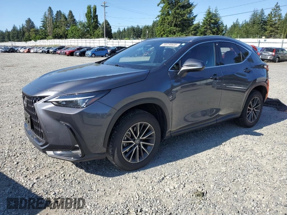 2024 Lexus NX 350 with VIN JTJAGCEZ7R2015151, listed as a Copart auction lot 59238605 with 10,307 mi miles and Salvage title. Bid and sale history available at DreamBid. Image 1.