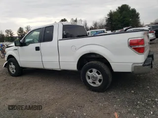 2009 Ford F-150 STX with VIN 1FTRX14889FA73202, listed as a Copart auction lot 50856285 with 184,181 mi miles and Salvage Title. Bid and sale history available at carsss.com. Image 2.