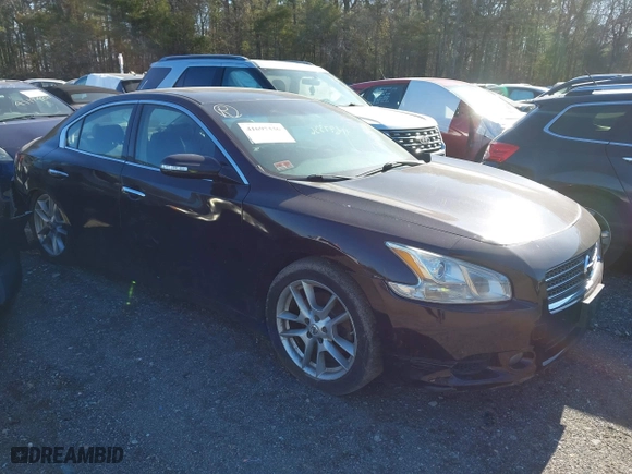 2010 Nissan Maxima 3.5 SV w/Premium Pkg with VIN 1N4AA5AP7AC830927, listed as a IAAI auction lot 41697336 with 122,153 mi miles. Bid and sale history available at carsss.com. Image 1.