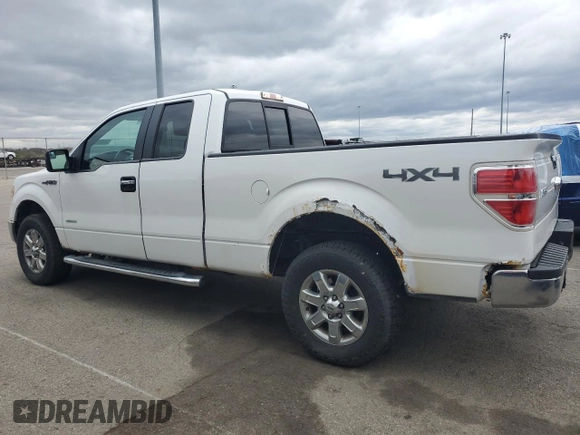 2013 Ford F-150 XL with VIN 1FTFX1ET4DFD31973, listed as a Copart auction lot 53285255 with 201,594 mi miles and Clean title. Bid and sale history available at DreamBid. Image 2.